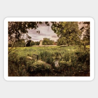 Water Meadows At St Cross Sticker